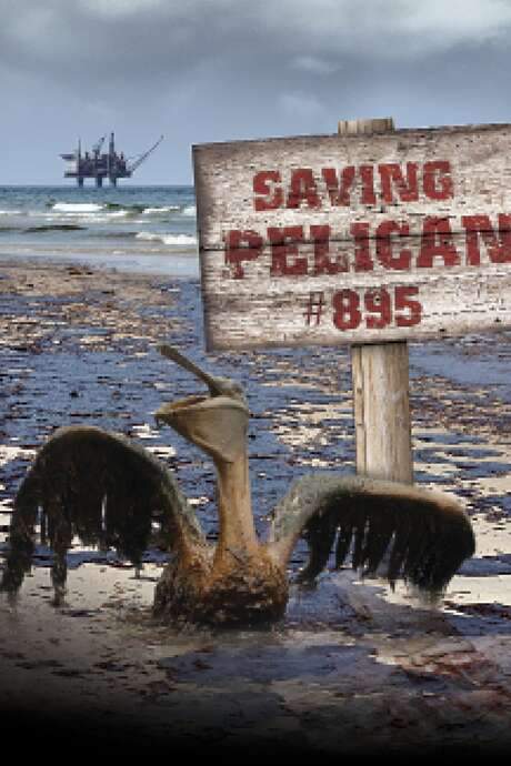 Saving Pelican 895